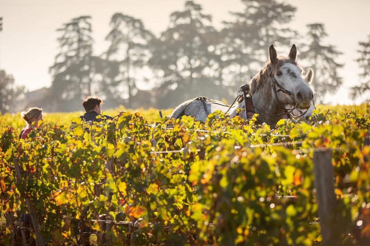 Chateau Croix De Labrie Bed & Breakfast Saint-Émilion Екстериор снимка